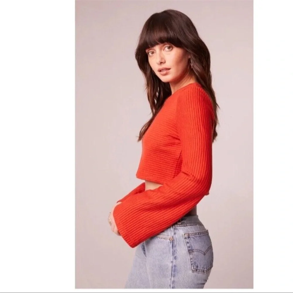 Band of The Free Alize Rust Long Flare Sleeve Crop Top with Backside Keyhole